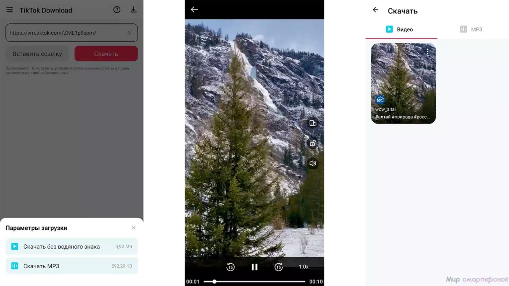Приложение для того чтобы скачивать видео. Приложение для того чтобы скачивать видео