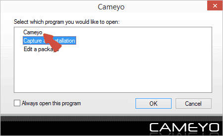 Быстрое создание portable - программ с помощью программы cameyo