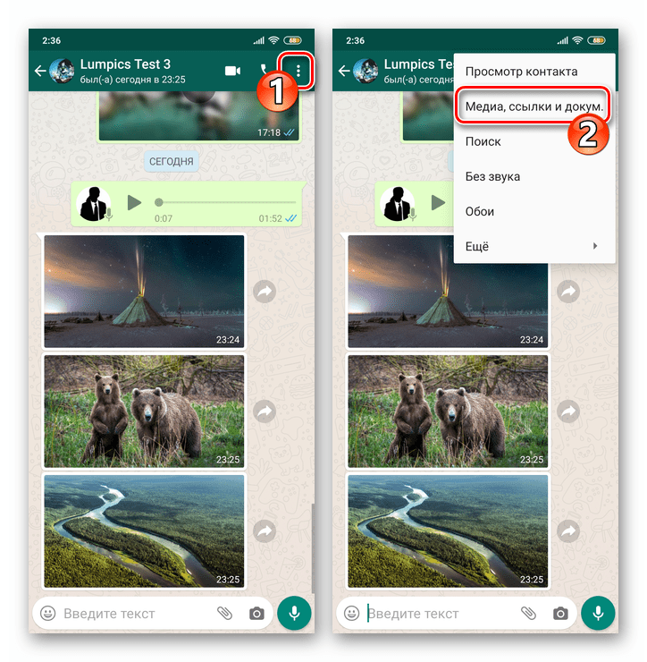 Как сделать чтобы фото из whatsapp появились в галерее на андроиде