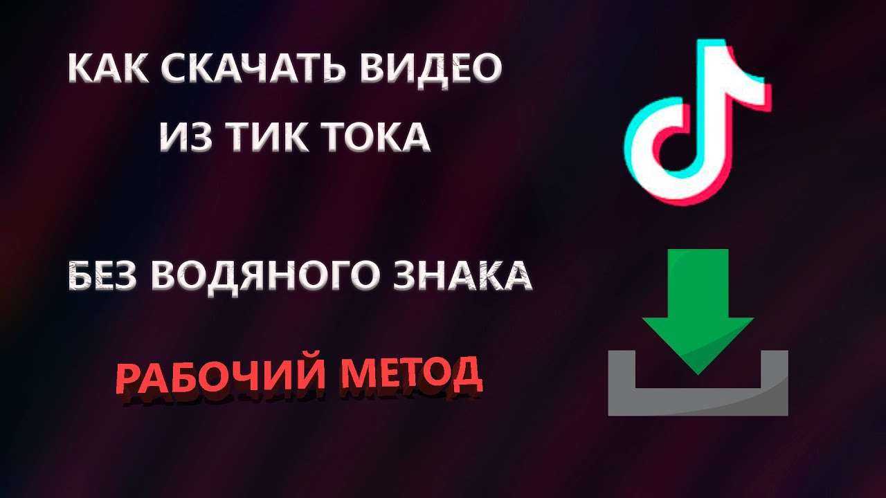 Качалка видео с tik-tok без водяного знака
