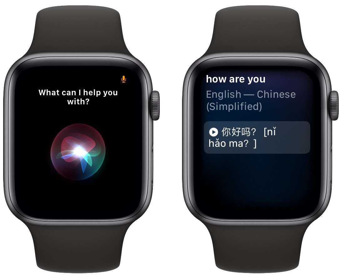 Отключить звук или вибрировать apple watch: все настройки | итигик