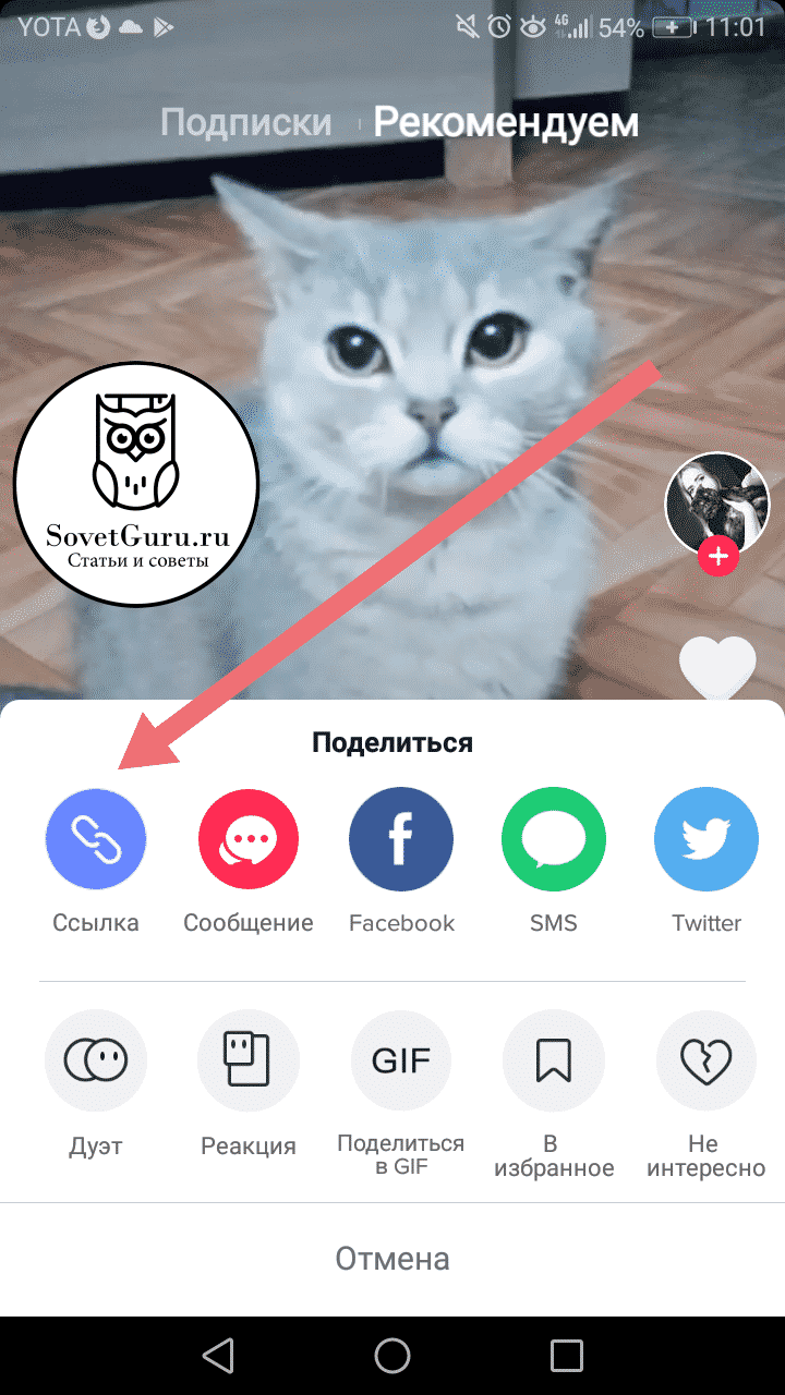 Как сохранить видео из тик тока на свой смартфон?