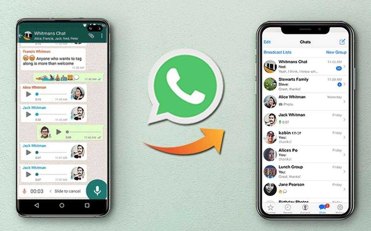 Групповой чат в whatsapp что и как работает