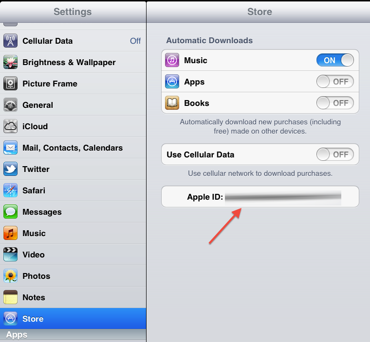Как вернуть app store. Apple ID айпад. Как поменять пароль на айпаде. Как поменять Apple ID. Как выглядит Apple ID.