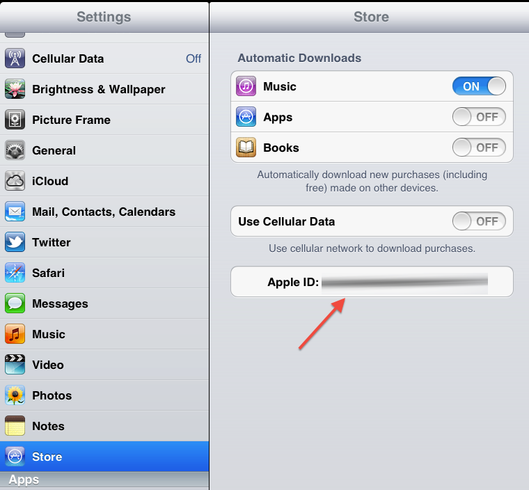 App store id. App Store на айпаде. Apple ID для Айпада. Что такое айди в айпаде. IPAD настройки Apple ID.
