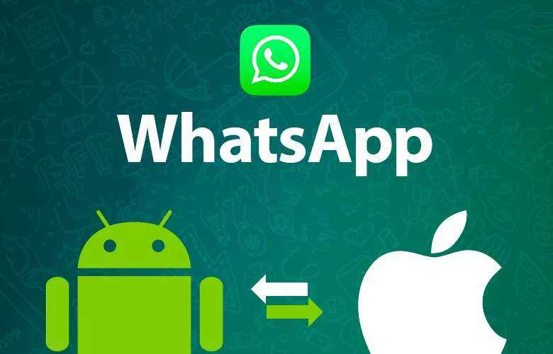 Как перенести чаты whatsapp с android на iphone – 3 способа
