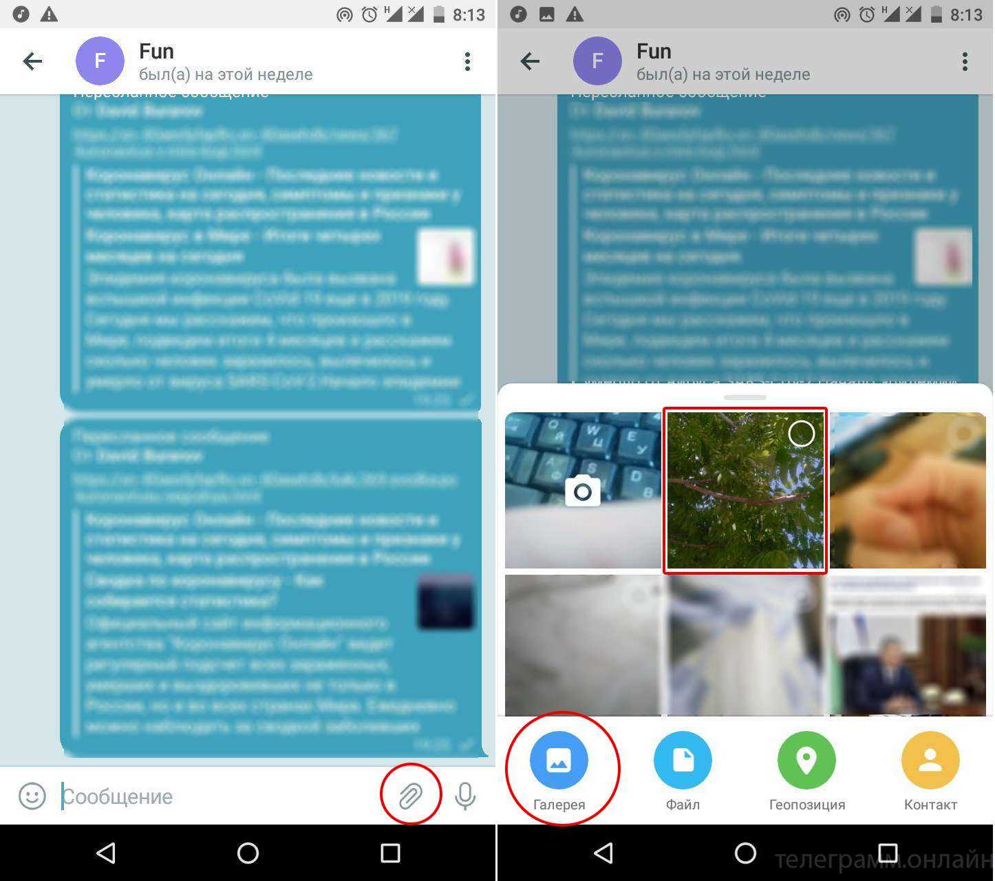 Как отправлять исчезающие сообщения в whatsapp, telegram и signal - avmo