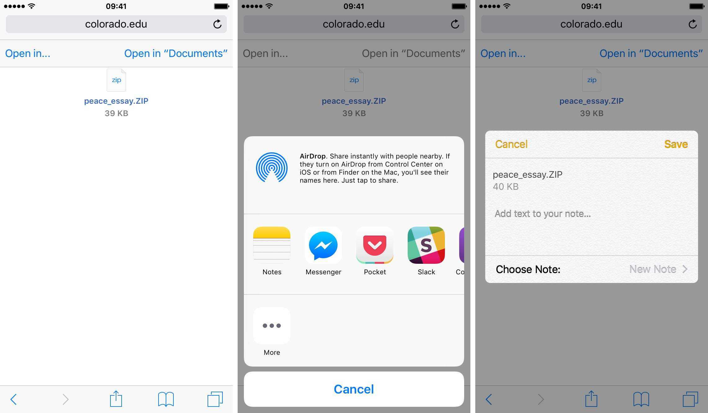 Как найти загруженные файлы на iphone или ipad
