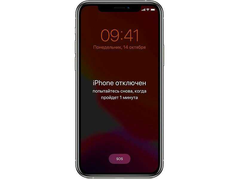 Что делать, если забыл пароль на айфоне: заблокирован iphone
