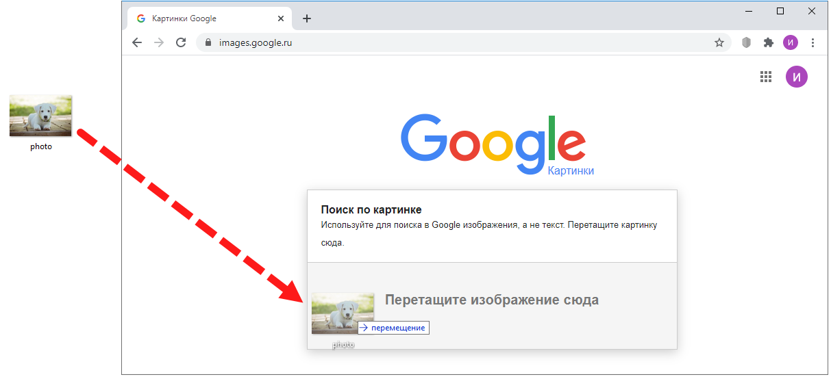 Поиск по картинке в интернете