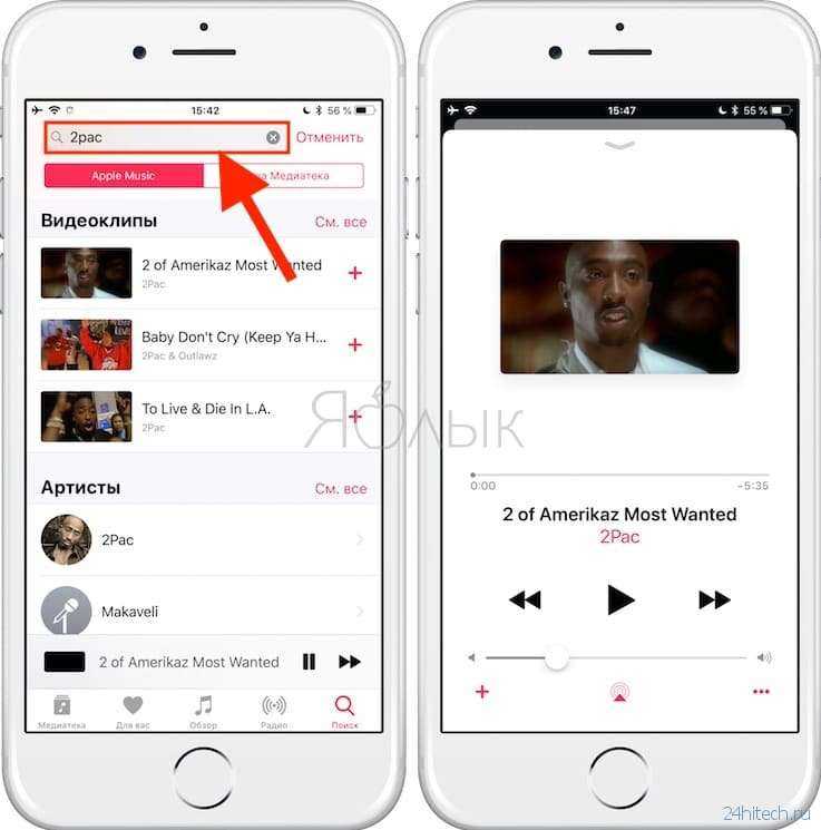 Как найти любимые песни в apple music на iphone - xaer.ru