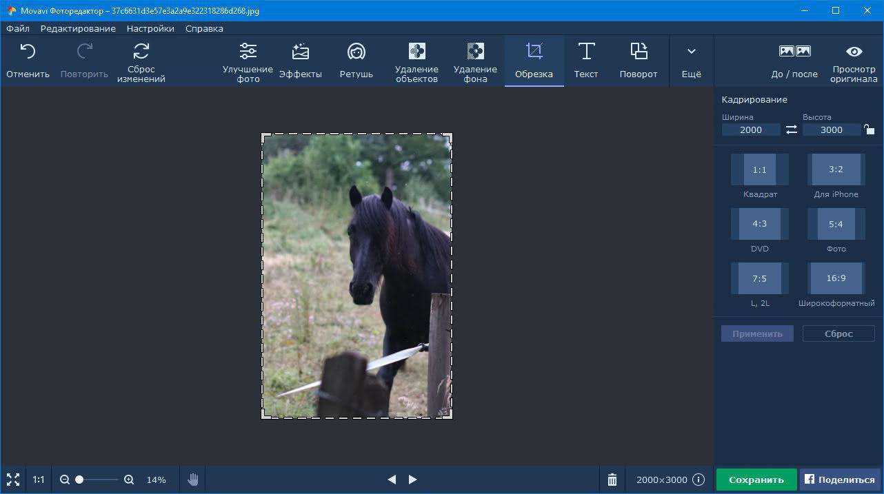 Если вы часто фотографируете а в эпоху мощных камер в смартфонах не пользоваться ими - настоящее кощунство, то наверняка сталкивались с ситуацией, когда