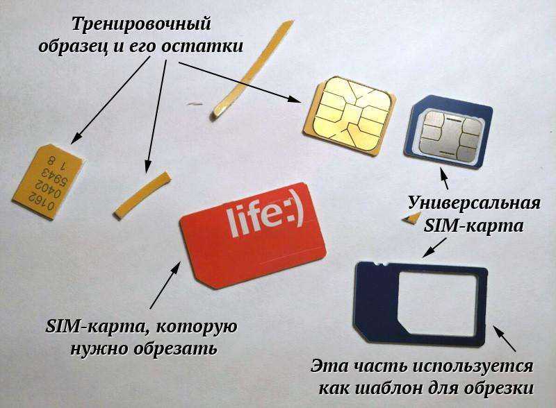Как создать резервную копию данных или восстановить их на устройстве android